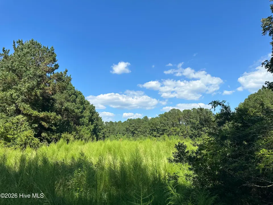 1268 Cherry Town Road, Hallsboro, NC 28442 – photo 1 of 7: IMG_4430