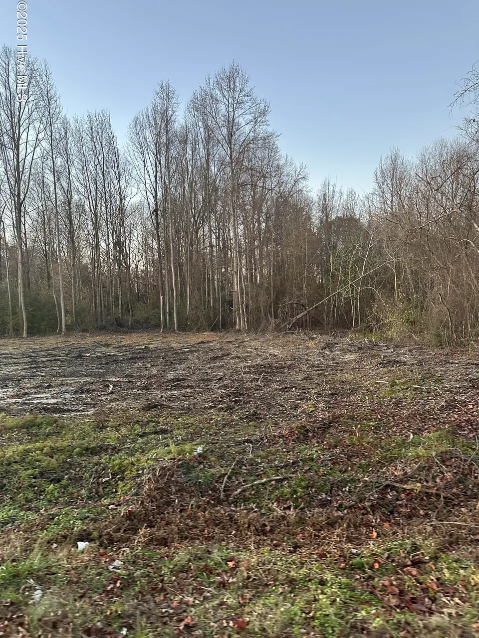 2978 1 Stoney Hill Church Road, Bailey, NC 27807 – photo 1 of 1: Main view