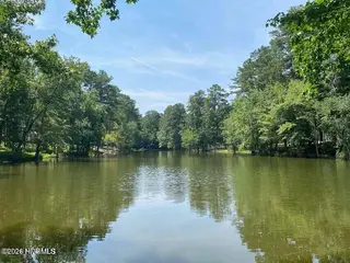 1385 Blue Heron Drive, Nashville, NC 27856 – photo 5: Pond at Blue Heron