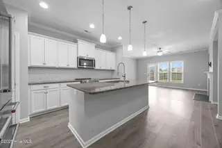 144 Violetear Ridge, Hampstead, NC 28443 – photo 19: 29-web-or-mls-IMG_3831