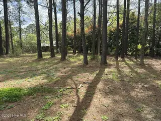 205 Commons Court, New Bern, NC 28560 — 3-bedroom home in Rivershore Commons, New Bern, NC, photo 12 of 15: Back Yard