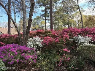 2111 Jumpin Run Drive, Wilmington, NC 28403 – photo 3: Jumpin Ext3