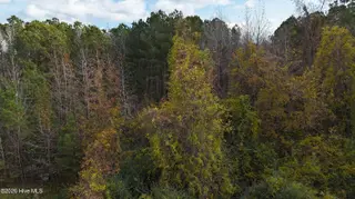 0000 Sr 1100, Blounts Creek, NC 27814 – photo 3: SR 1100 Blount Creek 2