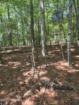 Lot 45b 45B Appaloosa Lake Drive, Carthage, NC 28327 – photo 3: 20260831_125809