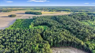 0 Pendergrass Drive, Princeton, NC 27569 – photo 2: 01-Quarterhorse Rd-1