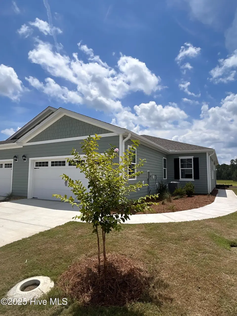 2179 Sweetspire Street Unit 2077, Leland, NC 28451 – photo 1 of 43: 2077 Tuscan