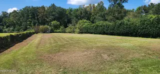 523 Huffmantown Road, Richlands, NC 28574 – photo 18: 20250906_131619