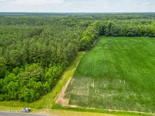 Tbd Farmers Union Road, Clarkton, NC 28433 – photo 8: ClarktonListing_MLS-9