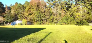 1058 Ramsey Road, Jacksonville, NC 28546 – photo 13: 1058 Ramsey Rd - Back Yard Copy
