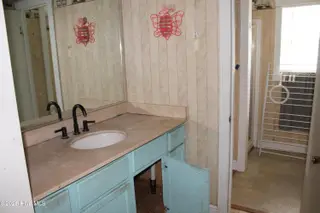 154 Canton Street, Newport, NC 28570 – photo 9: 154 Canton Street Master bathroom view 1
