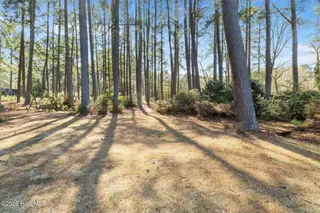 51 Wimberly Avenue, Rocky Mount, NC 27804 – photo 17: Wooded Lot