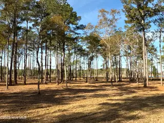 0 Norfleet Shores Road, Belhaven, NC 27810 – photo 12: IMG_0812 2