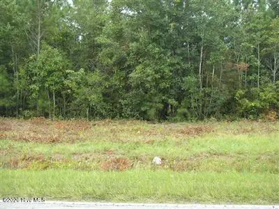 1055 2 Ferry Landing Drive SW, Supply, NC 28462 — lot in Live Oakes, Supply, NC, photo 1 of 6: Front Photo Live Oakes