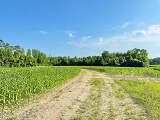 Off Swamp Fox Hwy Highway E, Tabor City, NC 28463 – photo 5: Copy of 8