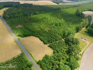 2733 Jim Taylor Road, Stokes, NC 27884 – photo 6: 6-web-or-mls-dji_20260424143247_0016_d