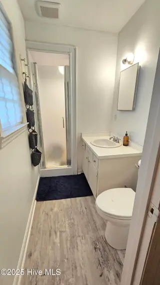 304 Mary Avenue, Castle Hayne, NC 28429 – photo 19: Primary Bath 2