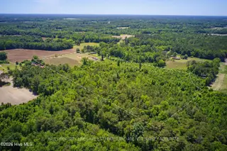6615 Silver Spoon Road, Clarkton, NC 28433 – photo 10: MLS_Ready (4 of 40)v