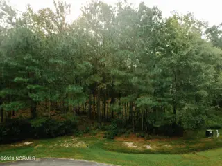 3 Alexander Drive, Belhaven, NC 27810 – photo 2: Lot3 Alexander Dr