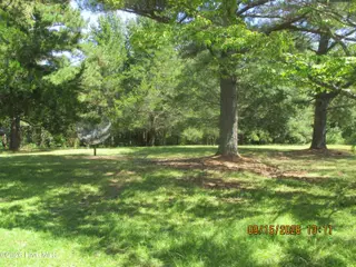 7625 Wheat Swamp Road, Lucama, NC 27851 – photo 9: 7625 Wheat Swamp yard1-2