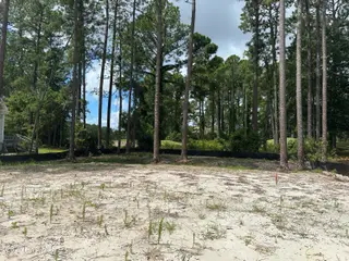 2072 91 Royal Pines Drive, New Bern, NC 28560 – photo 5: Cleared and Fill Dirt Added