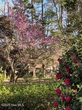5003 Trent Woods Drive, Trent Woods, NC 28562 – photo 10: Meyer 1