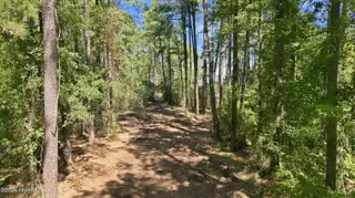 0 15 Bettie Drive, Aurora, NC 27806 – photo 11: 10-print-DJI_20260908132527_0752_D