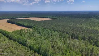 0 7 Guinea Mill Road, Ernul, NC 28527 – photo 23: 23