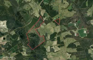 Off Speights Chapel Road, Whitakers, NC 27891 – photo 2: Screenshot 2025-04-23 at 1.22.59PM