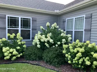 2260 Tulls Cove Road, Winterville, NC 28590 – photo 5: IMG_20260218_122026