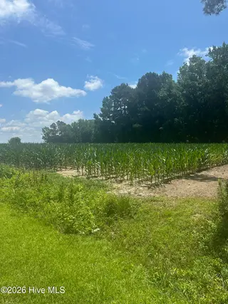 Near 721 Joe Piver Road, Chadbourn, NC 28431 – photo 13: IMG_0176