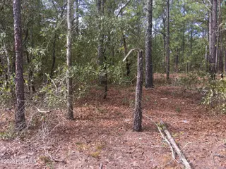 Tbd Plank Road, Robbins, NC 27325 – photo 4: IMG_1525