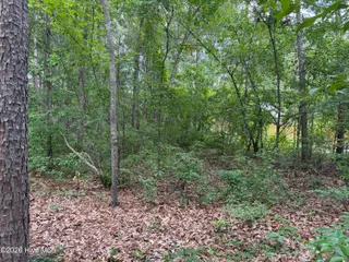 118 66 Ferret Run Lane, New Bern, NC 28562 – photo 7: IMG_7802