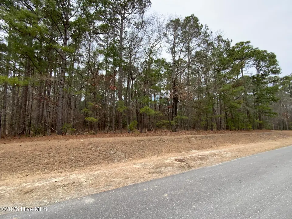 101 Long Leaf Lane, Goldsboro, NC 27534 – photo 1 of 3: IMG_6433