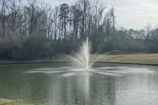 63 Waterfall Lane, Whiteville, NC 28472 – photo 11: Community Pond