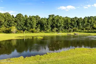 702 Pirates Landing Drive, Beaufort, NC 28516 – photo 7: View of Pond and Wooded Backdrop