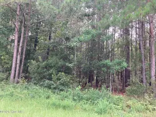 Lot # 33 33 33 Pine Crest Road, Bath, NC 27808 – photo 4: IMG_8542
