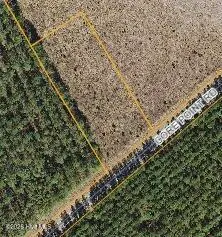 0 Sr 1100, Blounts Creek, NC 27814 — lot, Blounts Creek, NC, photo 1 of 1: 001 Main View 0 SR 1100 Blounts Creek