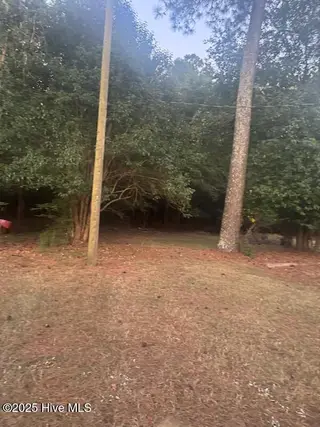 1657 Harper Street, Rocky Mount, NC 27801 – photo 10: Back Yard