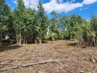 6943 1 Us 264 E, Greenville, NC 27834 – photo 11: INTERIOR4