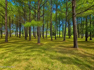 28 Bunn Road, Kenly, NC 27542 – photo 7: DB687185-E2F8-4A07-B6C0-1FB763238B64