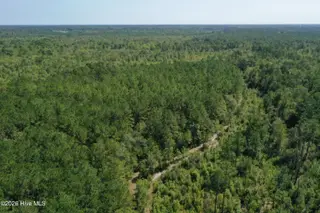 0 Bud Stephens Road, Evergreen, NC 28438 – photo 10: drone 8