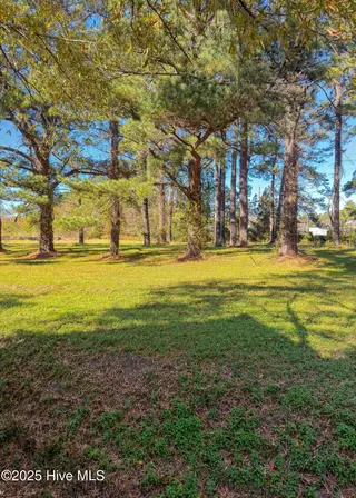 3101 Neuse Boulevard, New Bern, NC 28560 – photo 15: Pacel ID 8-240-036 MLS-23