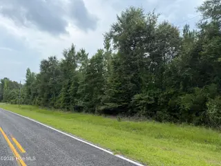 0 Old Sandhill Road, Edward, NC 27821 – photo 7: IMG_1783 2