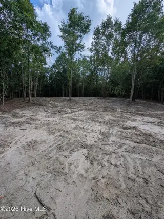 2r-4 2R-4 Peyton Drive, Eagle Springs, NC 27242 – photo 4: PXL_20260707_210441153
