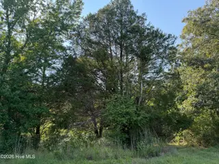 809 Dry Monia Road, New Bern, NC 28562 – photo 9: 1000036671