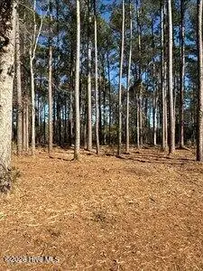8 8 Pitch Kettle Court, Belhaven, NC 27810 – photo 10: small_photo (8)