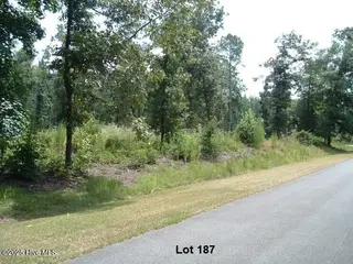 607 Pamlico River Drive, Washington, NC 27889 – photo 8: Pamlico River Dr