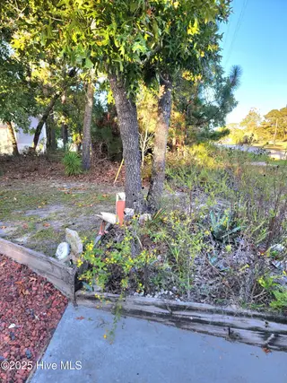 2152 Forest Drive SW, Supply, NC 28462 – photo 2: 20251006_180750