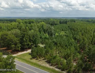 01581 Doubs Chapel Road, West End, NC 27376 – photo 8: off grid 8