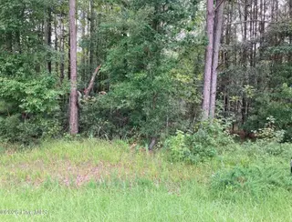 Lot # 33 33 33 Pine Crest Road, Bath, NC 27808 – photo 3: IMG_8541